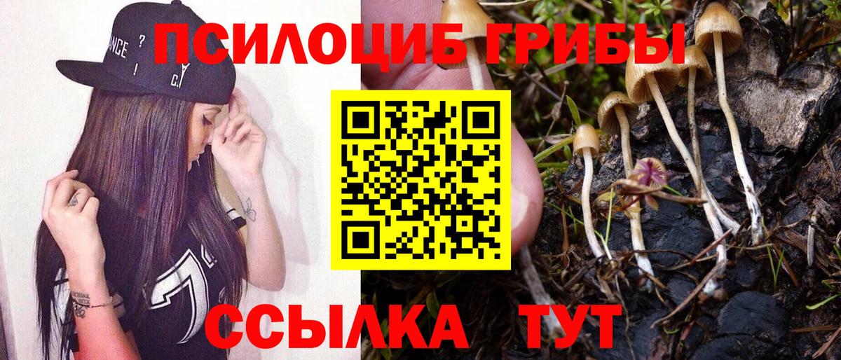 Псилоцибиновые грибы Magic Shrooms Лыткарино
