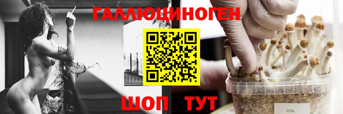 Псилоцибиновые грибы Magic Shrooms  Вход с VPN  Лыткарино 